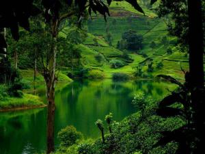 Sri Lanka