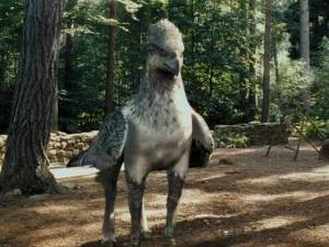 Buckbeak