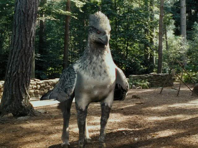 Buckbeak
