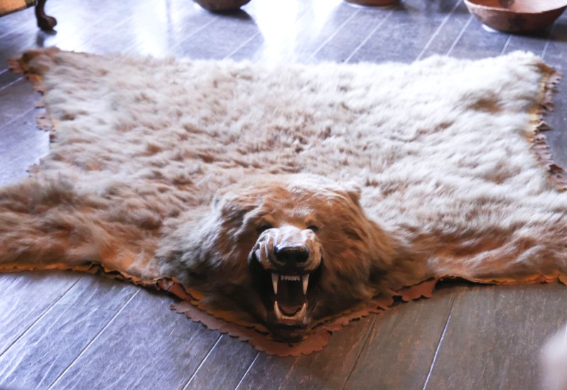 Bearskin-rug