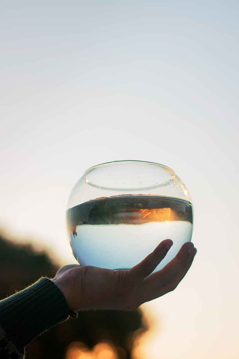 person carrying bowl filled with water